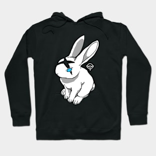 Rabbit mark Hoodie